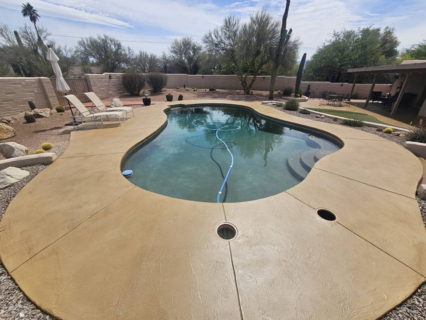 Renewed coated pool deck with a desert backyard, saguaro cactus and lounge chairs in Phoenix, Arizona